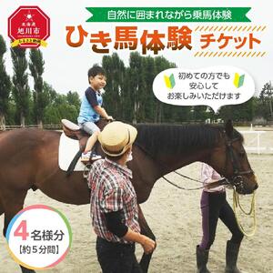 ひき馬体験　4名様分_01540