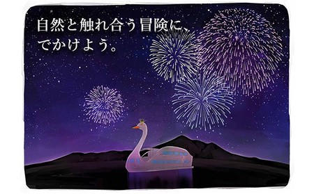 猪苗代観光船 乗船招待券（子供1枚）