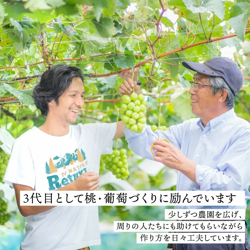 【2026年発送★先行予約】さわやかに滴るシャインマスカット 約2.0kg以上 065-021-26y