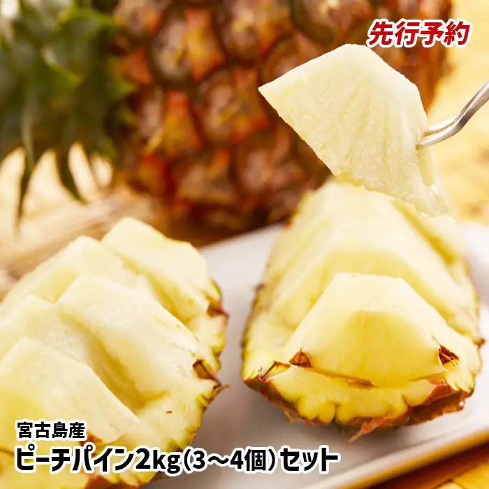 《先行予約》【2026年発送】宮古島産ピーチパイン 2kg（3～4個）セット《金ちゃん農園》（AK107）