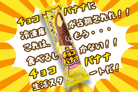 フタバ食品　アイス30本　チョコバナナ生活/人気返礼品 フタバ食品 福袋 スイーツ デザート 大容量 プレミアム 人気 お取り寄せ 限定品 オリジナル 食べ比べ 詰め合わせ 氷菓子 バニラ チョコ アソート 大人におすすめ 子供 おやつ 夏 ひんやり 一押し