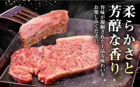 【全3回定期便】 壱岐牛 サーロインステーキ 400g（200g×2枚）《壱岐市》【株式会社イチヤマ】 肉 牛肉 サーロイン ステーキ 焼肉 BBQ [JFE017] 78000 78000円