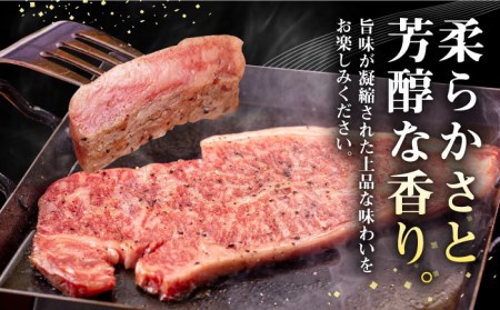 【全3回定期便】 壱岐牛 サーロインステーキ 500g（250g×2枚）《壱岐市》【株式会社イチヤマ】 肉 牛肉 サーロイン ステーキ 焼肉 BBQ [JFE018] 93000 93000円