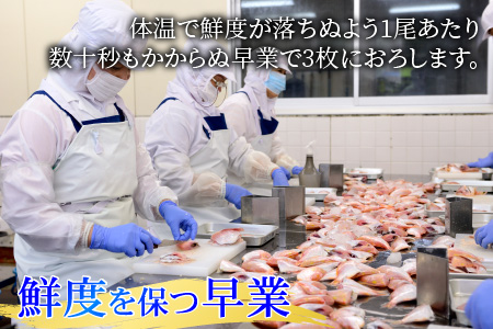 ＼父の日に／小鯛ささ漬 大樽 180g×1樽  [Y-001016] [BFAA043] 【配送不可地域：離島】