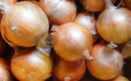 淡路島産玉ねぎ5kg　◆配送7月中旬～