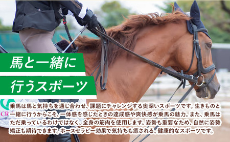 乗馬 スクール 体験 チケット 30分 土日祝 1名様分 クレイン栃木 《30日以内に出荷予定(土日祝除く)》栃木県 野木町 馬 乗馬体験 チケット 初心者 OK