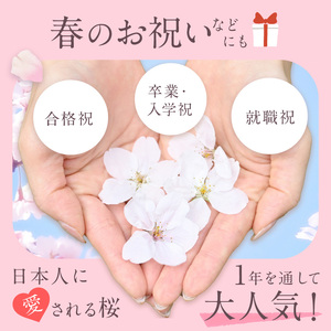 桜のボトルフラワー（久留米絣敷物付き）_ドライフラワー 桜 ボトルフラワー ソメイヨシノ 満開の桜のようにデザイン 久留米絣 敷物 ガラス容器 おしゃれ 花 インテリア 生花 ドライ加工 入学祝 卒業祝 合格祝 就職祝 旅立ち お祝い 記念 ギフト 贈り物 送料無料 〔Qb018〕