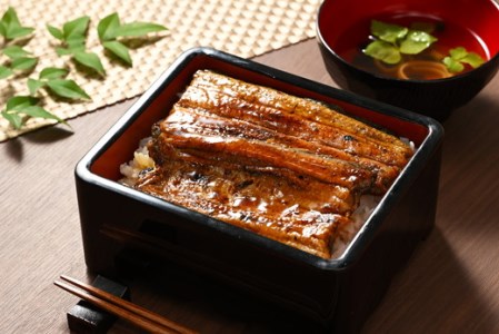 うなぎ 炭火 かば焼き 特上 2人前 備長木炭使用 老舗増田家 _ED06
