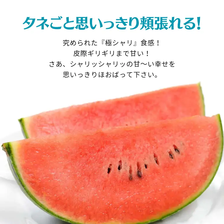 こだますいか ピノガール 2玉 《2026年5月中旬から発送開始》 すいか 小玉すいか 小玉 スイカ 果物 フルーツ[BQ018sa]