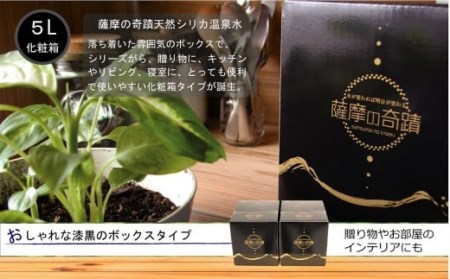 天然アルカリ温泉水 5L×2箱【6ｶ月定期便】超軟水(硬度0.6)のｼﾘｶ水｢薩摩の奇蹟｣ DS-903
