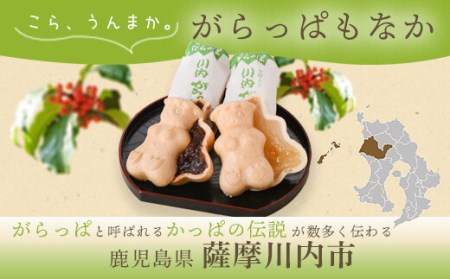 がらっぱもなか 15個　AS-195
