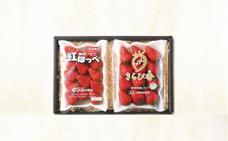 【2027年1月中旬より順次発送】いちご 食べ比べ セット （きらぴ香 ・ 紅ほっぺ   260g×各1パック） 合計 2パック【配送不可：離島】 果物 フルーツ ジューシー 酸味少なめ 新品種 