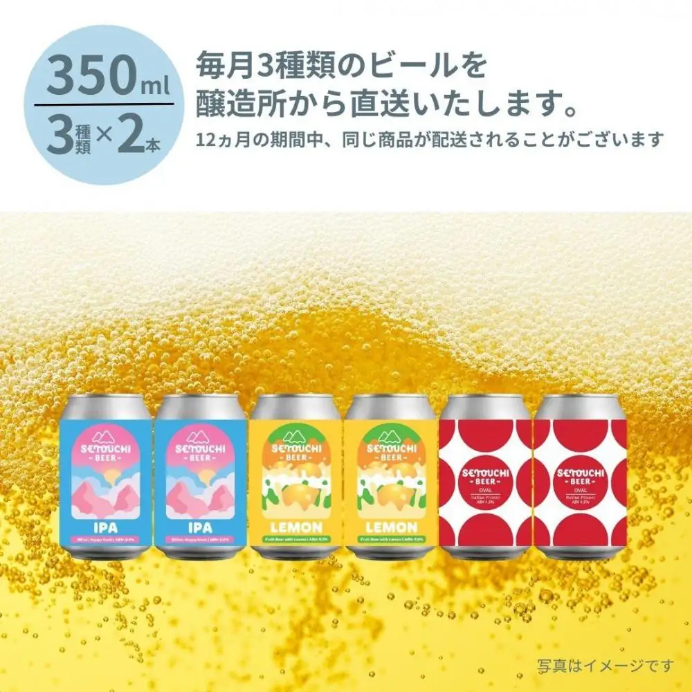 【定期便】クラフトビール定期便 毎月6缶 12ヵ月