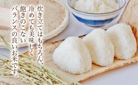 【令和7年度産】 山形県産 はえぬき精米 5kg×2袋計10kg ブランド米 こめ ご飯 ごはん 白米 F4A-0500