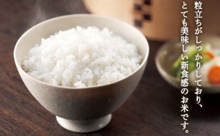 【令和7年度産】 山形県産 雪若丸精米 5kg×2袋計10kg ブランド米 こめ ご飯 ごはん 白米 F4A-0502