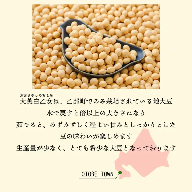 ＜大莢白乙女大豆　1袋＞大粒で甘い乙部町地大豆 北海道 北海道産 道産 国産 国産大豆 乙部町 地大豆 特産品 大豆 甘い 大粒 コク