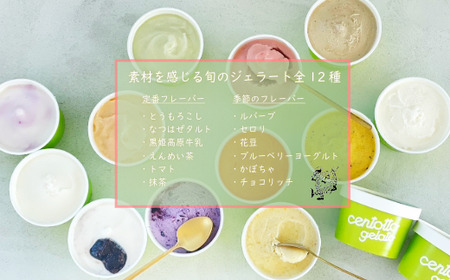 『チェントット』の「ジェラート12個セット（レギュラー6味 + 6味）」信濃町の人気店 ｜ 地産野菜や果物を使ったジェラート【長野県信濃町ふるさと納税】