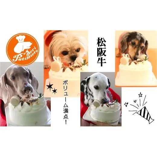 犬用ケーキ・和牛デコレーションケーキ・獣医師監修