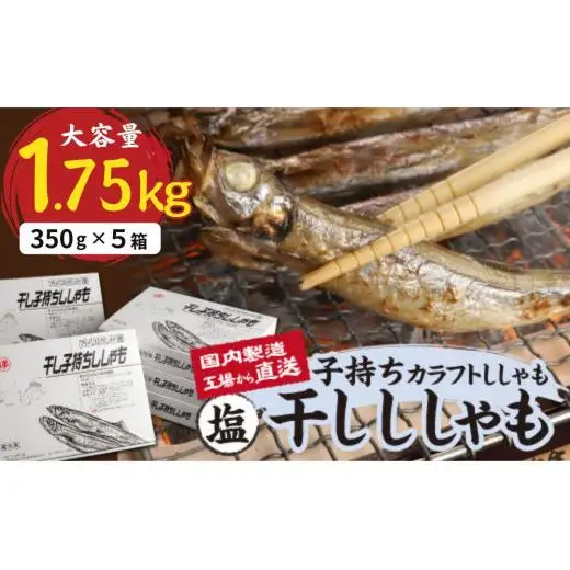 国内加工　塩ししゃも　5箱セット