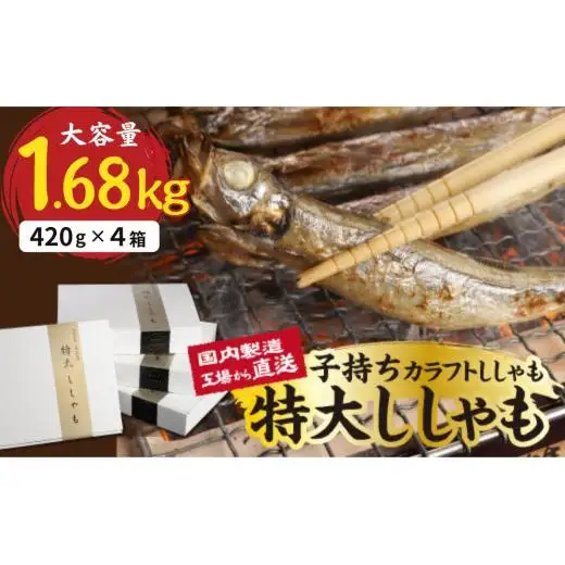 国内加工　特大ししゃも　4箱セット