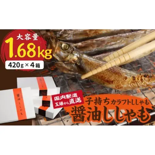 国内加工　醤油ししゃも　4箱セット