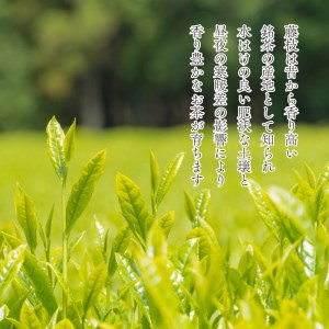 【2026年6月中旬以降発送】 新茶 静岡玉露 180g×1缶 煎茶 180×1缶 飲料 お茶缶 静岡 煎茶 お茶の葉 新茶 玉露 旬 家庭用 贈答 贈り物 ギフト プレゼント 静岡県 藤枝市