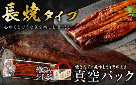BS-338 九州産うなぎ蒲焼 3尾 食べごたえある3人前