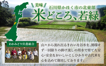若緑産特別栽培米「こしひかり」と若緑産 古代米１セット　掛け流しの用水、自然豊かな若緑地区、安心安全