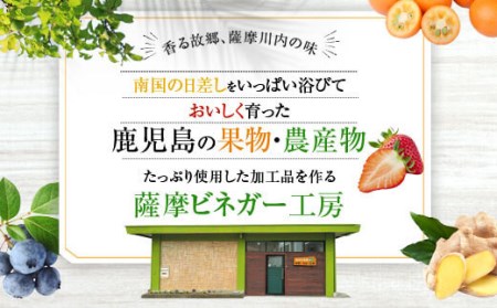 AS-415 薩摩川内生姜シロップ（黒糖）稀少 あけび酢使用 2本セット