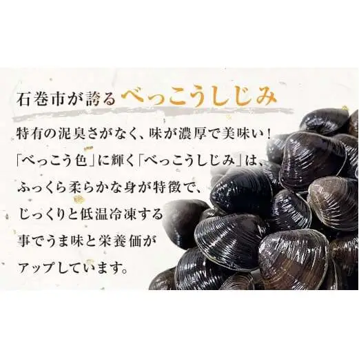 北上川の べっこうしじみ 1kg 冷凍 しじみ汁 味噌汁 小分け 宮城県 石巻市