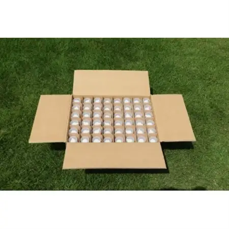 薬用泡消毒液　あわの～る【消毒　アルコール　携帯用】100mL×48本【配送不可地域：沖縄県】【1387600】
