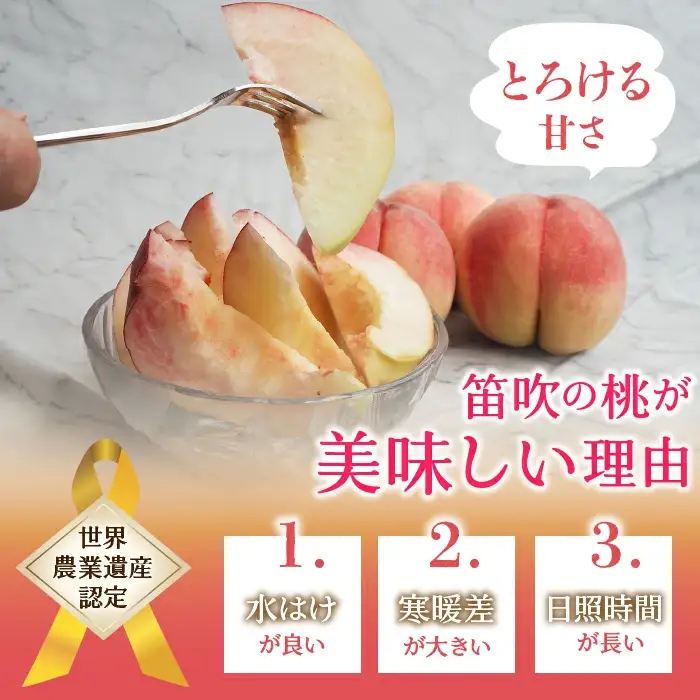 【2026年発送★先行予約】厳選！山梨県笛吹市産桃 約2kg（5～8玉） 156-003