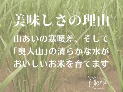 【令和7年産】きぬむすめ 2kg 鳥取県江府町産 キヌムスメ 精米 産地直送 お試し2ｷﾛ 0932