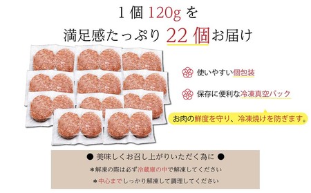 【14日以内発送！数量限定】佐賀牛入り ハンバーグ 22個 2.6kg(120g×22個)(H083106)