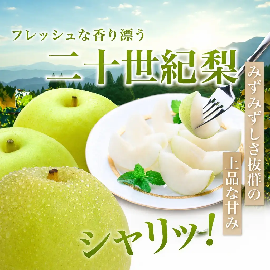 【2026年産 先行予約】 梨 二十世紀梨 約5kg 10～20玉 1玉250～500g 【令和8年8月下旬以降発送予定】 20世紀梨 フルーツ 果物 12-25