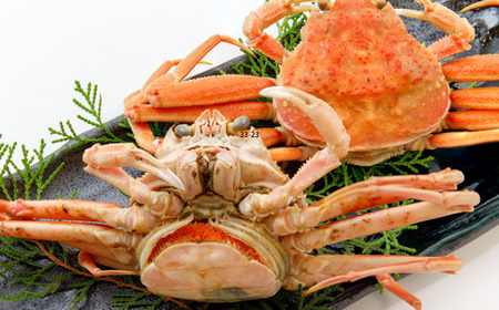 【先行予約】 セコガニ 6～10匹 約1.2kg  【令和8年11月下旬以降発送予定】カニ 33-23