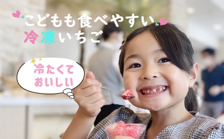 O11 Linda Lindo BERRY 冷凍いちご 1kg 2Lサイズ