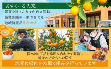 AS-113 きんかん夢工房ｾｯﾄ