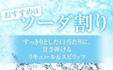 AS-838　飲み比べ かごしま ほろよいセット（とっておき梅酒♪・金柑こみち） 各500ml 田苑酒造