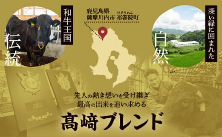 JS-303 鹿児島県北さつま高崎牛 詰め合わせ 【鹿児島県産黒毛和牛】