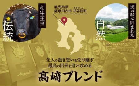 DS-208 鹿児島県北さつま高崎牛 ロースステーキ 【鹿児島県産黒毛和牛】