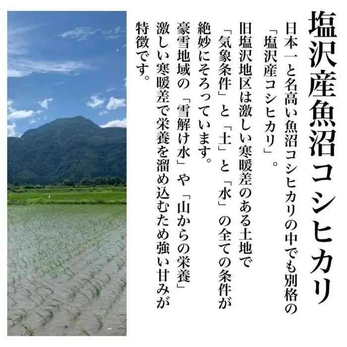 新潟県塩沢産コシヒカリ そのまんま真空パック 900ｇ×6袋