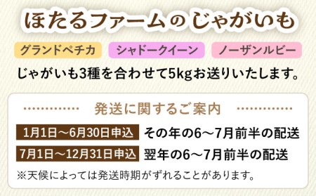 ※数量限定※【先行予約】自然栽培のじゃがいも 3種 約5kg 多治見市 / ほたるファーム 農家直送 芋 詰め合わせ 詰合せ カラフルじゃがいも ジャガイモ 自然栽培 新鮮 おいしい 旬 野菜 季節 限定 送料無料 [TEB002]