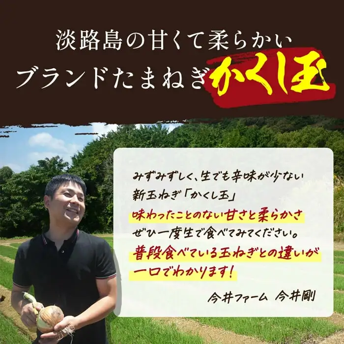 今井ファームの淡路島たまねぎ「かくし玉」5kgとたまねぎスープ10食