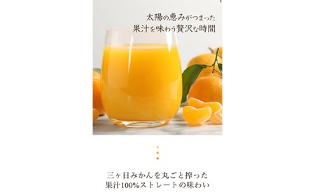 和田農園の三ヶ日みかんを丸ごと搾ったみかんジュース 3種アソート 10本入り 果汁飲料 フルーツジュース 旬のみかん 爽やか 100％ストレートジュース 飲み比べ 