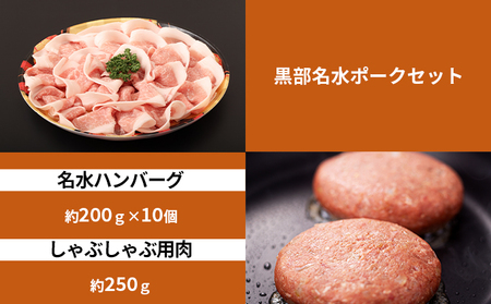 黒部名水ハンバーグ10個・しゃぶしゃぶ用肉（約250g）/ふるさと納税/富山県黒部市 お肉 豚肉 国産 食べ物 肉料理 柔らかい ジューシー 夕飯 おかず 食材 