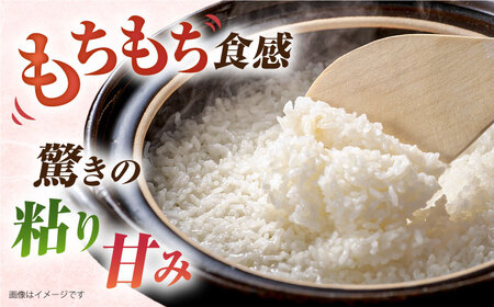 【全12回定期便】ミルキークイーン 5kg 糸島市 / 玄米・精米専門店 新飼宗一郎商店 米 白米 [ADE014]