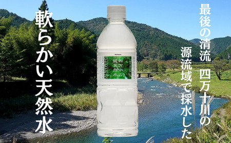 四万十 純天然水 500ml × 24本 1箱 ミネラルウォーター ペットボトル 水 500ml 四万十川