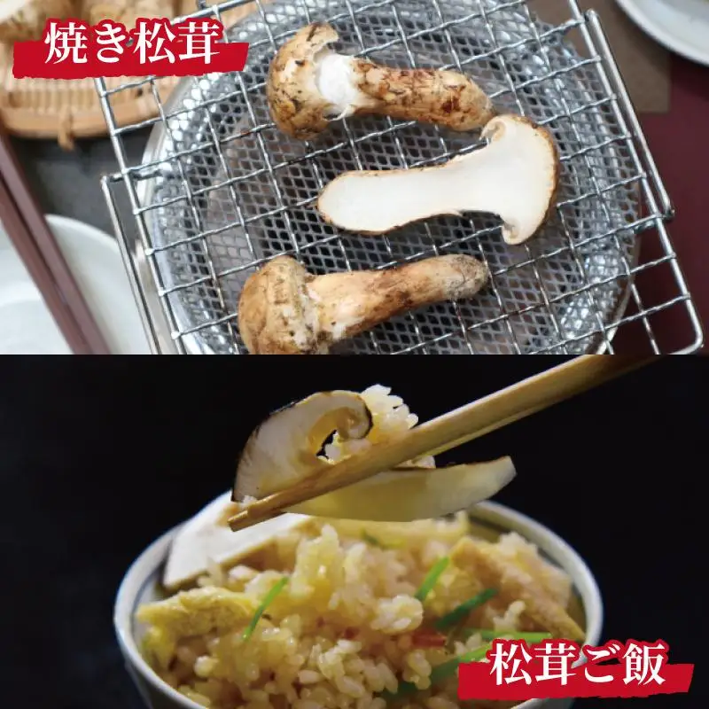 先行予約 国産松茸 約300g 数量限定 香り高く希少【和歌山県高野町産】【2026年9月下旬～11月上旬頃発送予定】