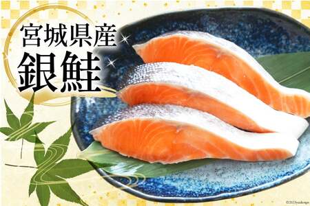 訳あり 宮城県産 熟成 銀鮭切身 約2kg [宮城県 気仙沼市 20563343] サケ しゃけ 魚 鮭